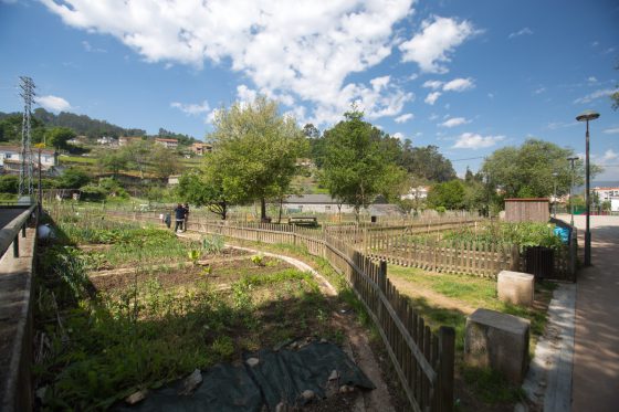 O Concello abre en xaneiro o prazo para solicitar a explotación de hortas urbanas ecolóxicas do Sequelo