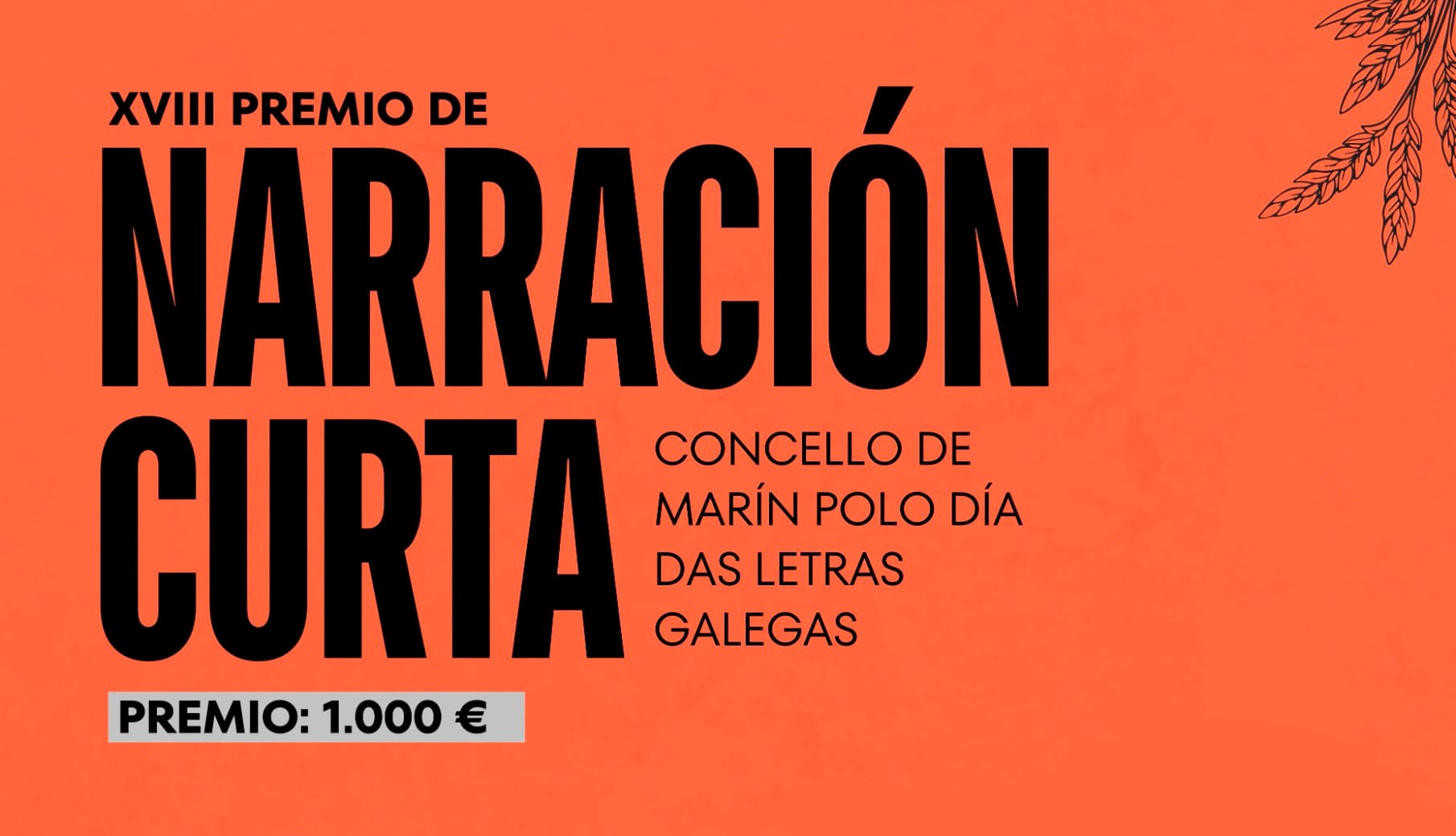 XVIII Premio de Narración Curta