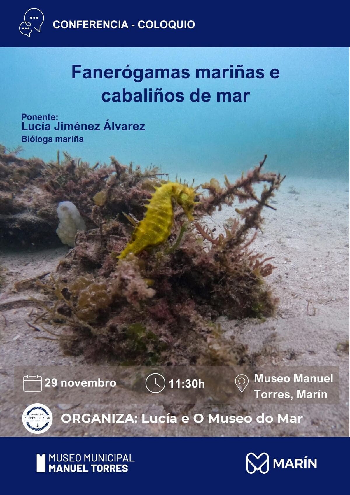 Fanerógamas mariñas e cabaliños de mar