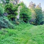 O Concello consegue a financiación para acondicionar o camiño municipal da Grela, que mellorará o acceso ao Lago Castiñeiras