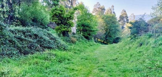 O Concello consegue a financiación para acondicionar o camiño municipal da Grela, que mellorará o acceso ao Lago Castiñeiras