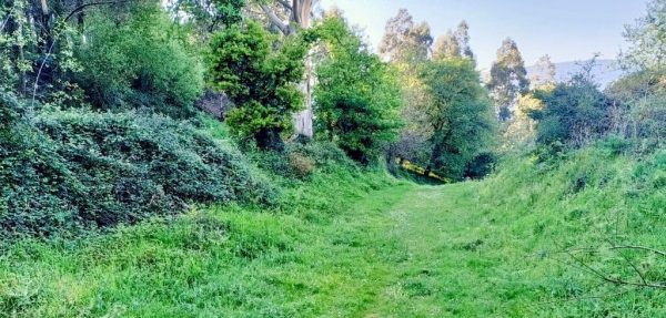 O Concello consegue a financiación para acondicionar o camiño municipal da Grela, que mellorará o acceso ao Lago Castiñeiras