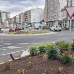 Os novos parterres da Avenida de Ourense ﬂorecen con máis de 1.000 plantas