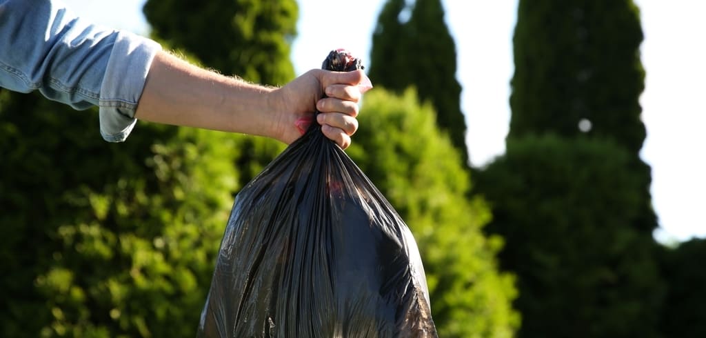 Recollida de residuos - Lixo