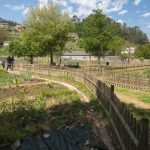 Hortas urbanas do Sequelo