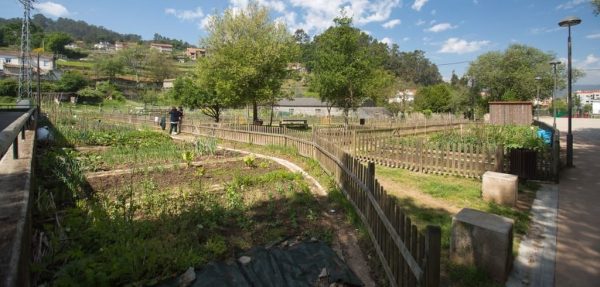 Hortas urbanas do Sequelo