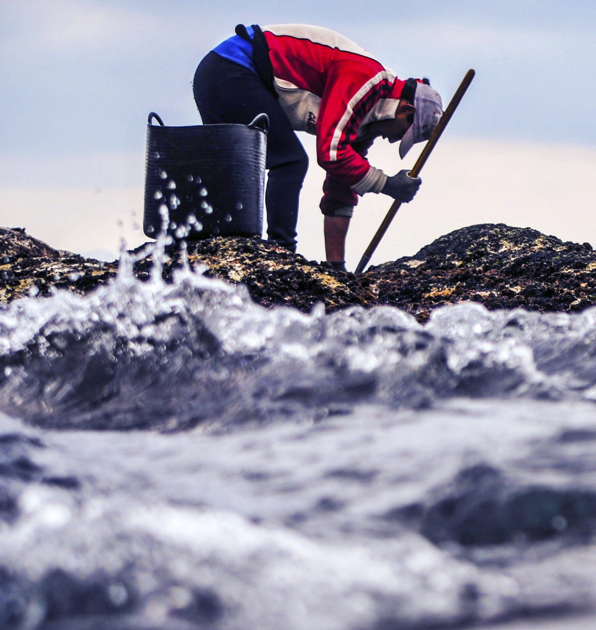III Festival Cine do Mar