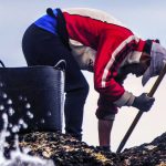O III Festival Cine do Mar pecha o prazo de inscricións e adianta os fitos desta edición