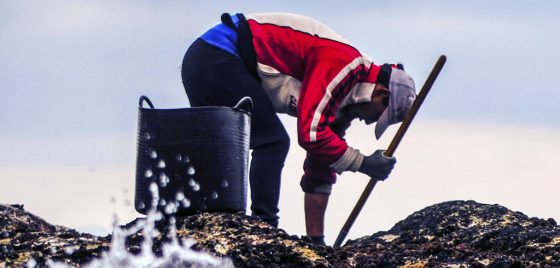 O III Festival Cine do Mar pecha o prazo de inscricións e adianta os fitos desta edición
