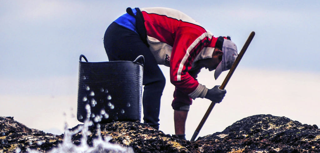 O III Festival Cine do Mar pecha o prazo de inscricións e adianta os fitos desta edición