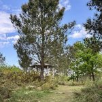 Un Parque da Natureza e novas rutas de cicloturismo as dúas licitacións abertas para seguir poñendo en valor o Lago Castiñeiras