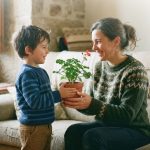 Planta de agasallo para o Día da Nai 2026