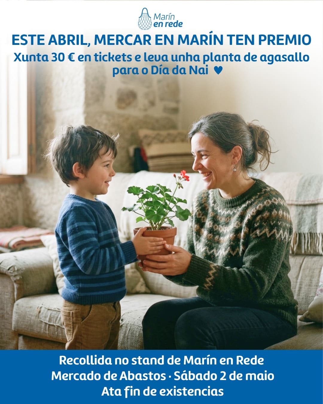 Planta de agasallo para o Día da Nai 2026